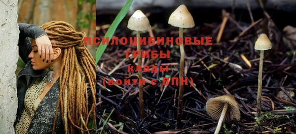 каннабис Вяземский