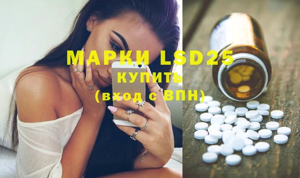 spice Вязники
